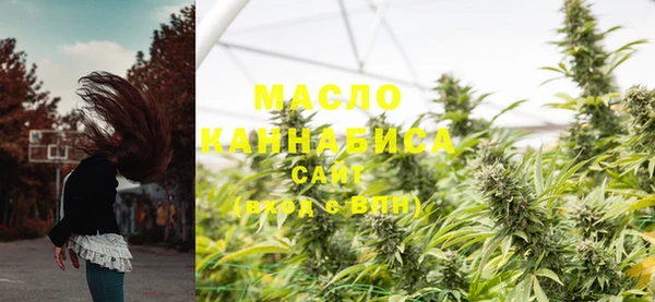 гашик Богородицк