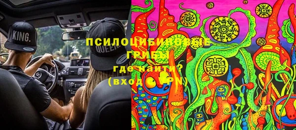 соль ск Богородск