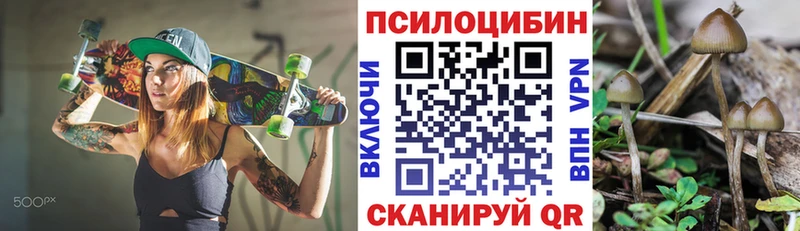 Купить закладки  Карачаевск  Псилоцибиновые грибы мицелий 