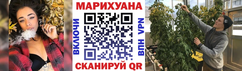 Бошки марихуана MAZAR  Купить  Карачаевск 